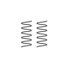 Rear Springs